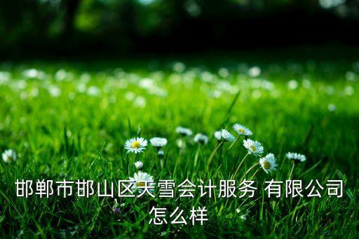 邯鄲市邯山區(qū)天雪會計服務(wù) 有限公司怎么樣