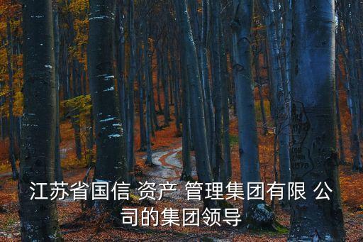 江蘇省國(guó)信 資產(chǎn) 管理集團(tuán)有限 公司的集團(tuán)領(lǐng)導(dǎo)