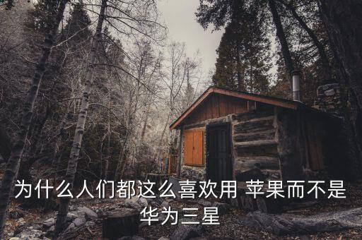 中國人為什么鐘愛蘋果,為什么中國人用蘋果手機(jī)的人特別多