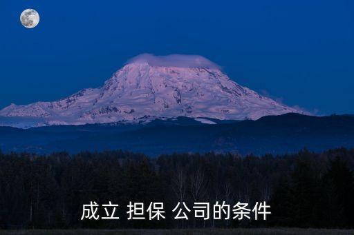 非融資性擔保公司如何注冊