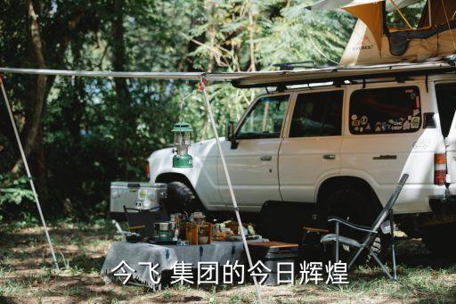  今飛 集團的今日輝煌