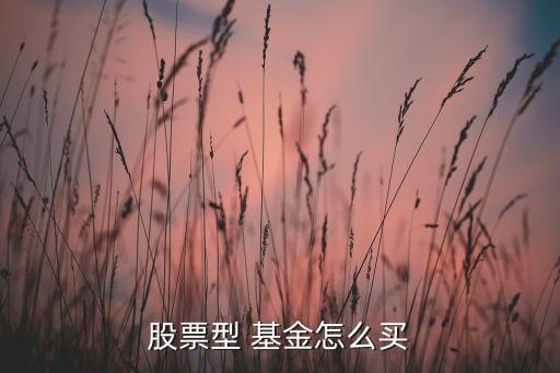 股票型 基金怎么買(mǎi)