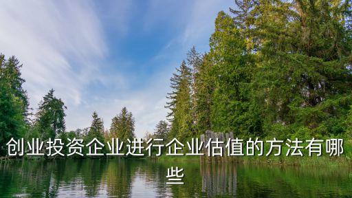創(chuàng)業(yè)投資企業(yè)進行企業(yè)估值的方法有哪些