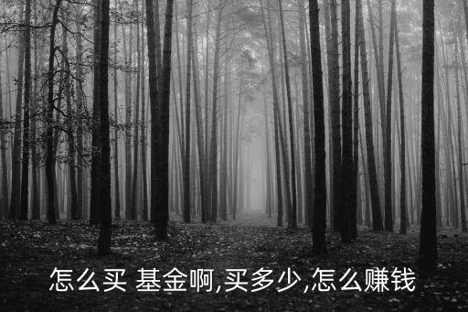 怎么買 基金啊,買多少,怎么賺錢
