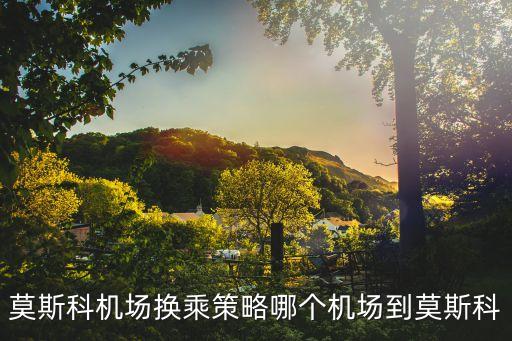 俄羅斯第二大航空公司