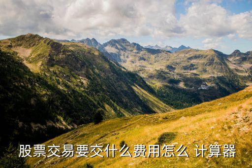  股票交易要交什么費用怎么 計算器