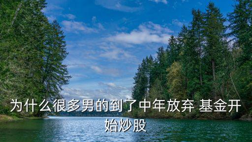 男性投資個人基金,境內個人投資境外基金
