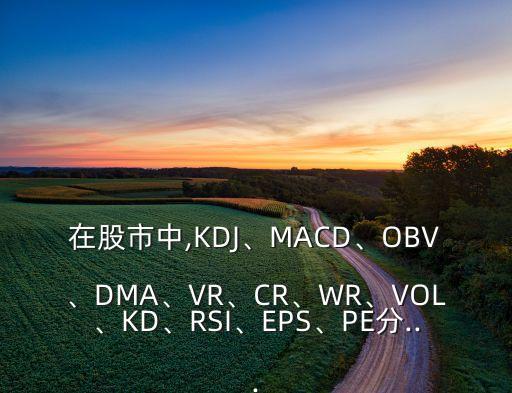 在股市中,KDJ、MACD、OBV、DMA、VR、CR、WR、VOL、KD、RSI、EPS、PE分...
