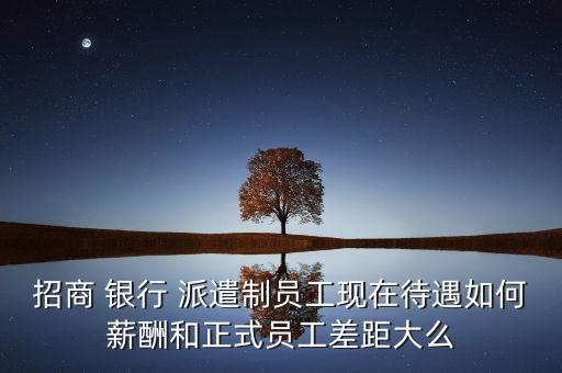 招商 銀行 派遣制員工現(xiàn)在待遇如何薪酬和正式員工差距大么