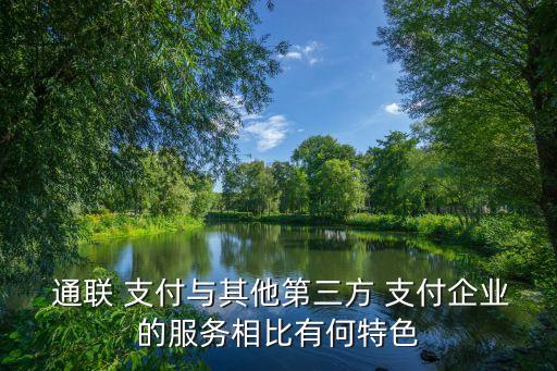  通聯(lián) 支付與其他第三方 支付企業(yè)的服務(wù)相比有何特色