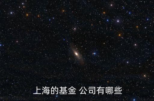  上海的基金 公司有哪些