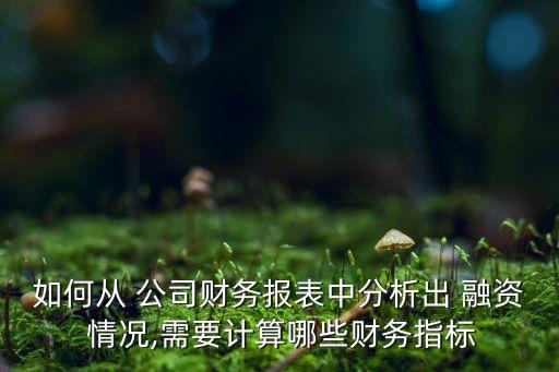 如何從 公司財(cái)務(wù)報表中分析出 融資 情況,需要計(jì)算哪些財(cái)務(wù)指標(biāo)