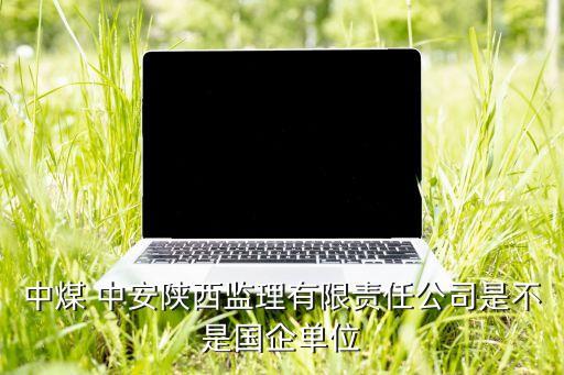 山西中安能源有限公司,山西國際能源集團有限公司
