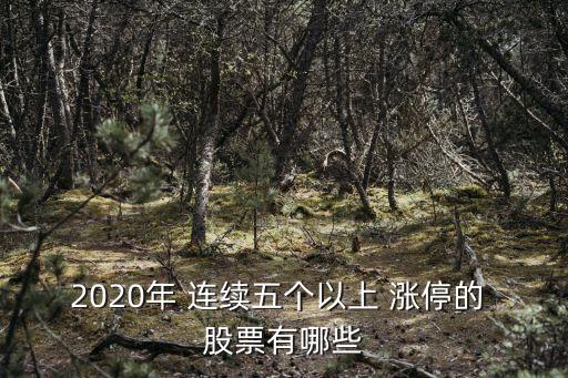 歷史連續(xù)漲停股票排行,東方財(cái)富查看歷史漲停的股票