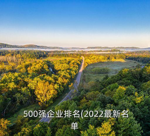  500強企業(yè)排名(2022最新名單
