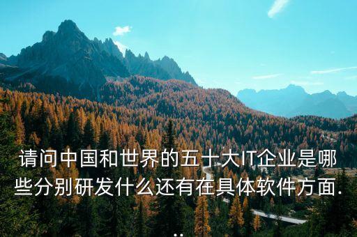 請問中國和世界的五十大IT企業(yè)是哪些分別研發(fā)什么還有在具體軟件方面...