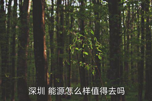  深圳 能源怎么樣值得去嗎
