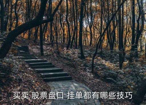 股票掛單怎么掛5次,股票新規(guī)掛單怎么掛