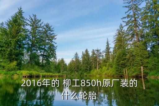 2016年的 柳工850h原廠裝的什么輪胎