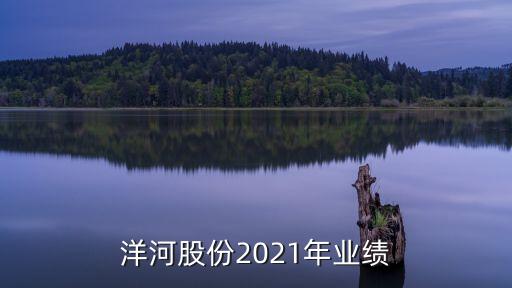 洋河股份2021年業(yè)績