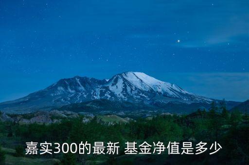 嘉實(shí)300的最新 基金凈值是多少