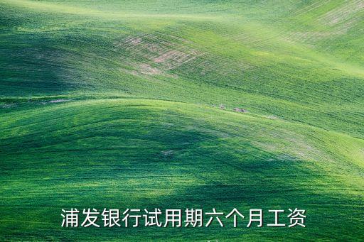  浦發(fā)銀行試用期六個(gè)月工資