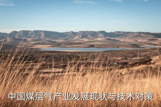 中國煤層氣產(chǎn)業(yè)發(fā)展現(xiàn)狀與技術(shù)對(duì)策