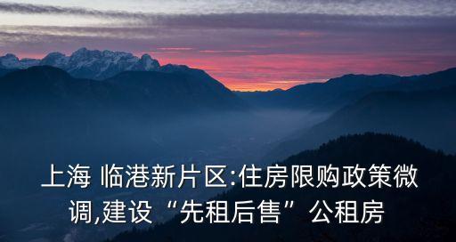  上海 臨港新片區(qū):住房限購政策微調(diào),建設“先租后售”公租房