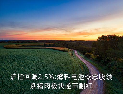 滬指回調(diào)2.5%:燃料電池概念股領(lǐng)跌豬肉板塊逆市翻紅