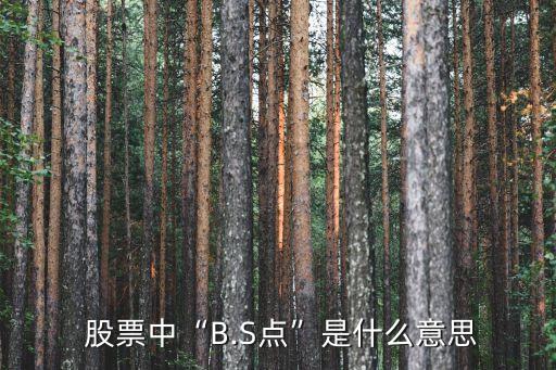  股票中“B.S點(diǎn)”是什么意思
