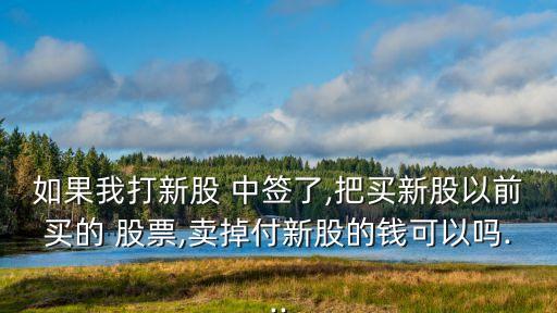 如果我打新股 中簽了,把買新股以前買的 股票,賣掉付新股的錢可以嗎...
