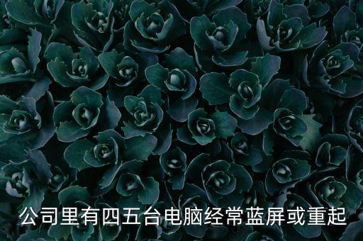 nmi公司,日本NMI公司