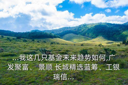 ...我這幾只基金未來趨勢如何,廣發(fā)聚富、 景順 長城精選藍籌、工銀瑞信...