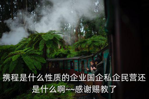 攜程是什么性質的企業(yè)國企私企民營還是什么啊~~感謝賜教了