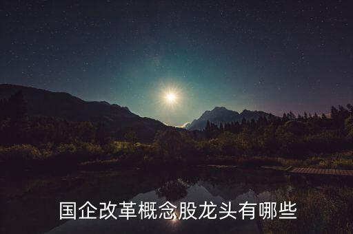 哪些是國企股票,哪些國企股票穩(wěn)定可以分紅