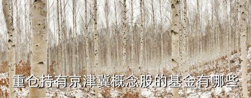 重倉持有京津冀概念股的基金有哪些