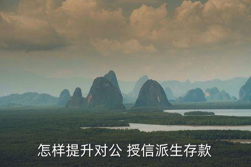 怎樣提升對公 授信派生存款
