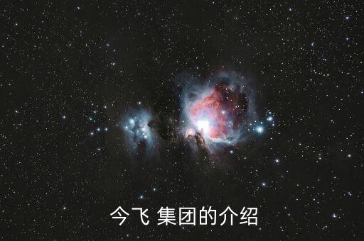 今飛集團(tuán)什么時候上市,螞蟻集團(tuán)什么時候重新上市