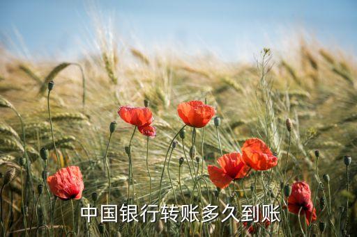  中國銀行轉(zhuǎn)賬多久到賬