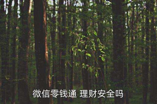 微信零錢通 理財(cái)安全嗎