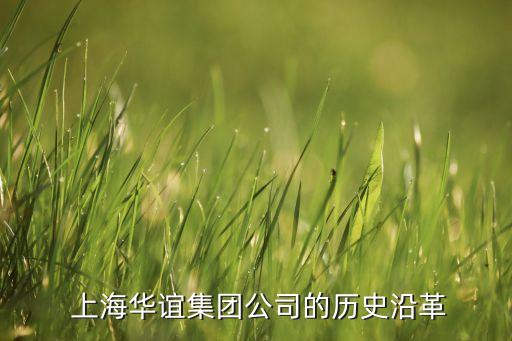  上海華誼集團公司的歷史沿革