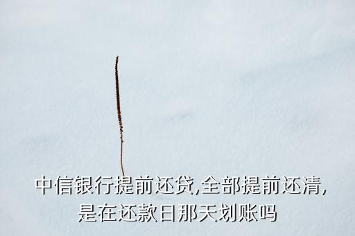 中信銀行貸款扣款時間