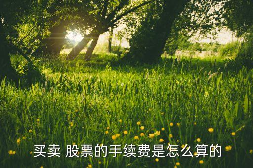  買賣 股票的手續(xù)費(fèi)是怎么算的