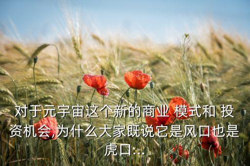 對(duì)于元宇宙這個(gè)新的商業(yè) 模式和 投資機(jī)會(huì),為什么大家既說它是風(fēng)口也是虎口...