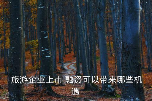 旅游公司融資