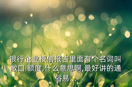  銀行企業(yè)授信報(bào)告里面有個(gè)名詞叫 敞口 額度,什么意思啊,最好講的通俗易...