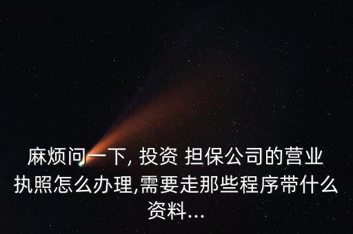 國億投資擔保有限公司,北京星辰粒子投資擔保有限公司