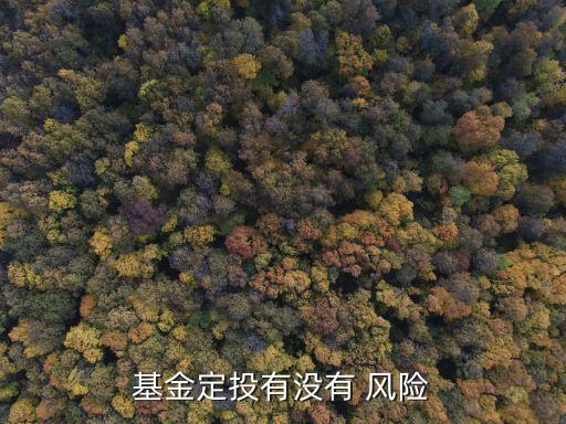 基金定投有沒有 風(fēng)險(xiǎn)