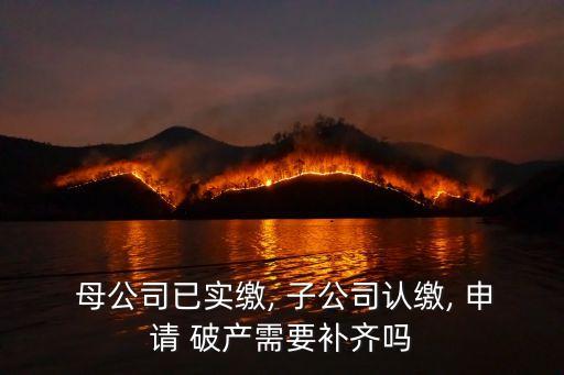 母公司已實繳, 子公司認(rèn)繳, 申請 破產(chǎn)需要補齊嗎