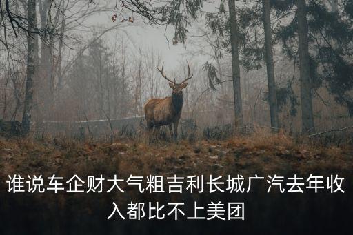 誰說車企財(cái)大氣粗吉利長城廣汽去年收入都比不上美團(tuán)